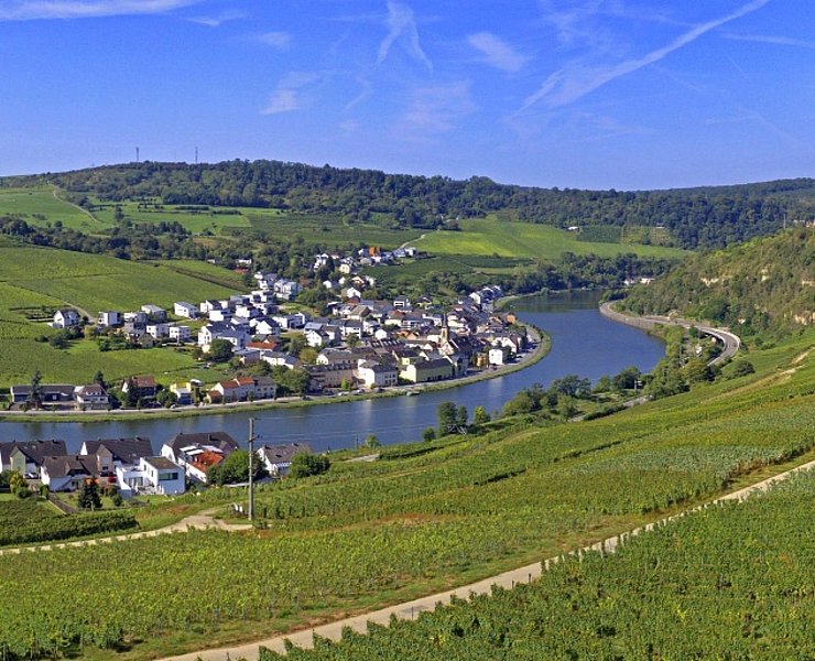 Leuchtpunkt Nitteler Fels (4)