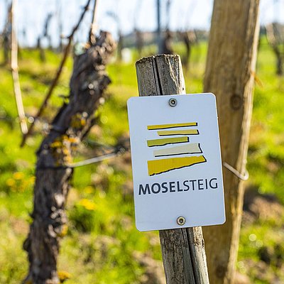 Foto: Moselsteig