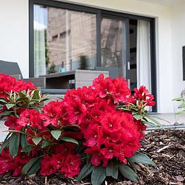 Entspannen auf der Terrasse