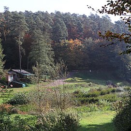Angelweiher Trassem (4)