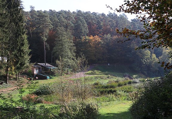 Angelweiher Trassem (4)