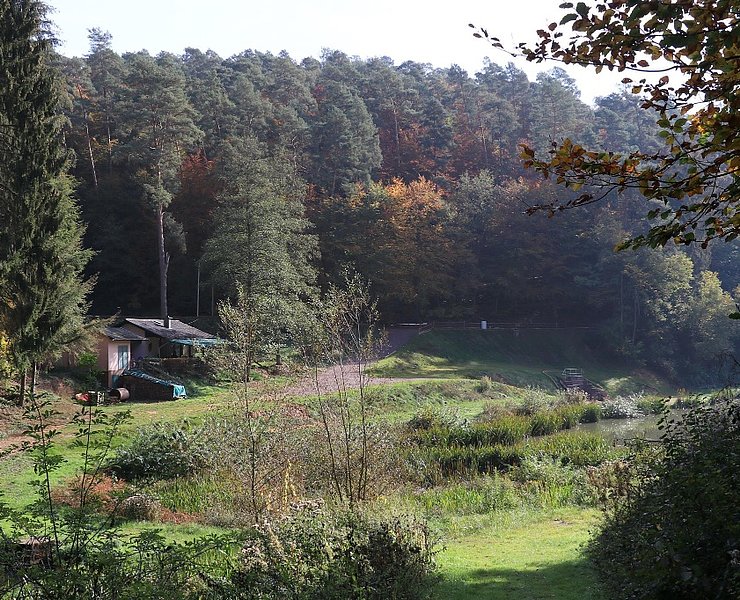 Angelweiher Trassem (4)