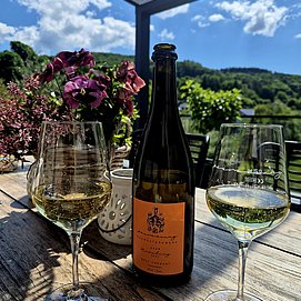 Weingut Permesang (5)