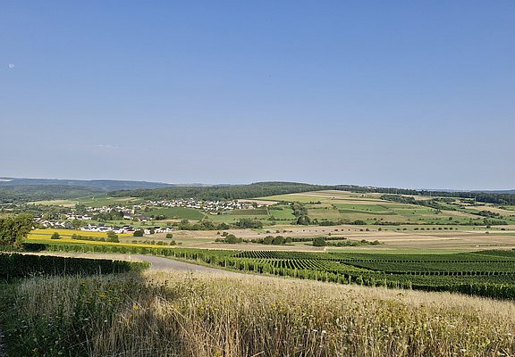 Blick auf Oberemmel