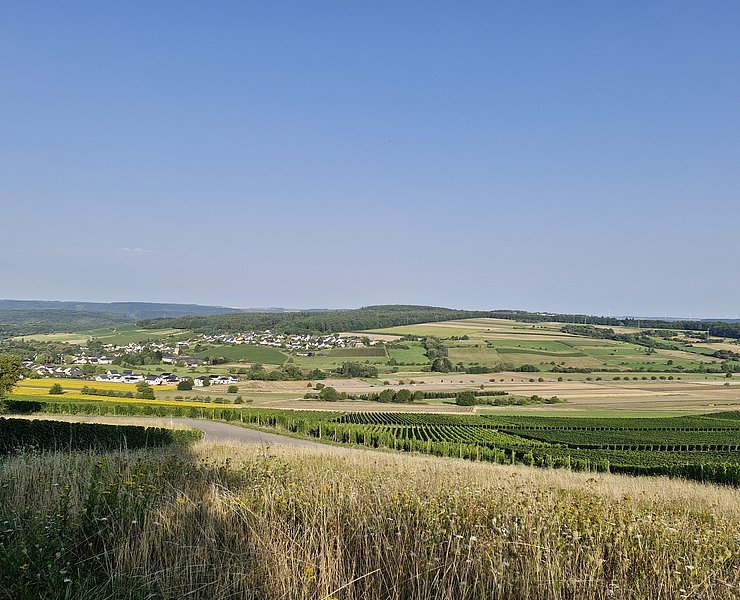 Blick auf Oberemmel