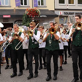 Umzug Saarweinfest (1)