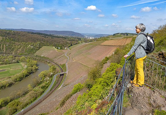 Galgenberg Wiltingen (4)
