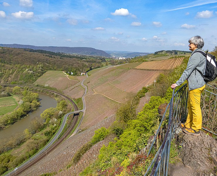 Galgenberg Wiltingen (4)