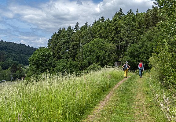 Wanderer (4)