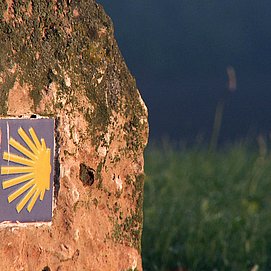 Wandern auf dem Jakobusweg (02)