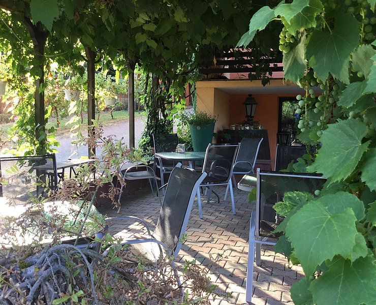 Temmelser Elblinghof (3)