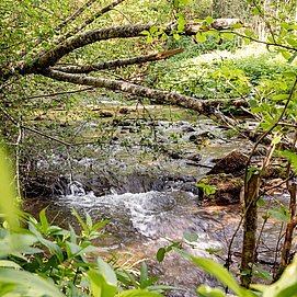 Albachtal