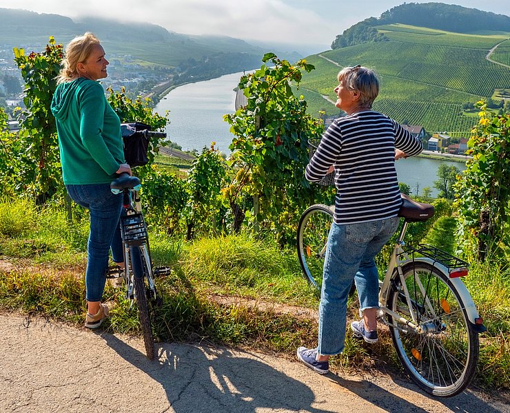 Mosel bei Nittel