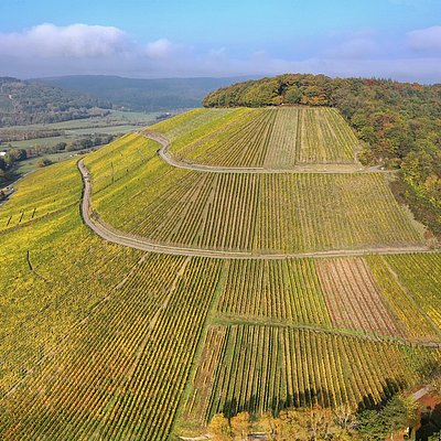 Foto: Ayler Kupp