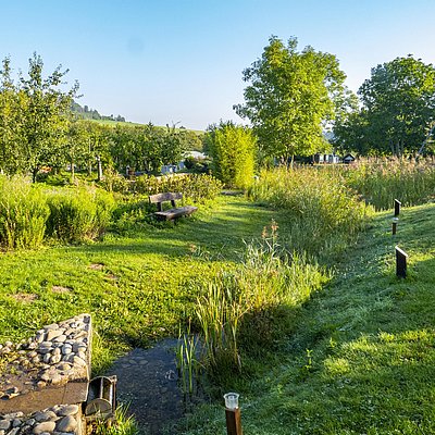 Foto: Packeselwanderungen (5)