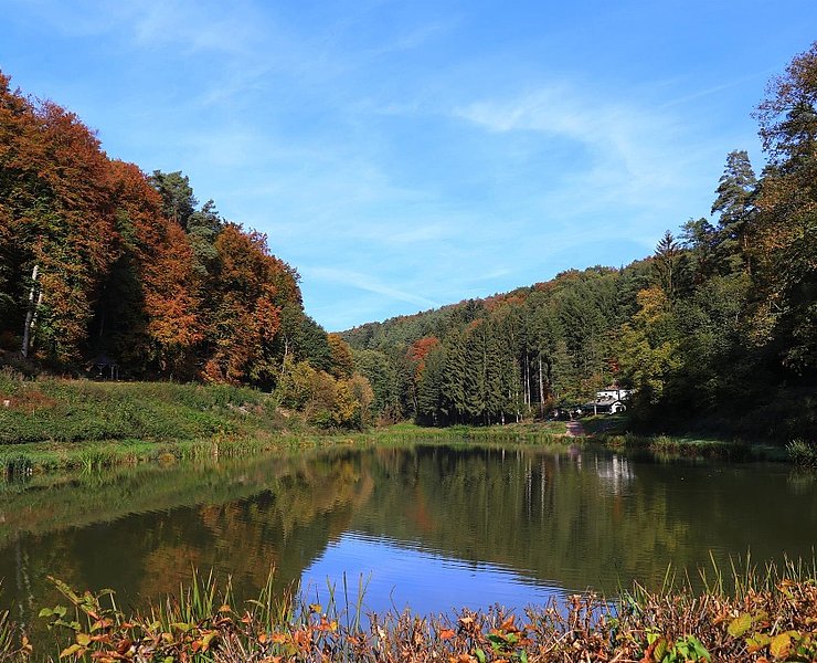 Angelweiher Trassem (1)