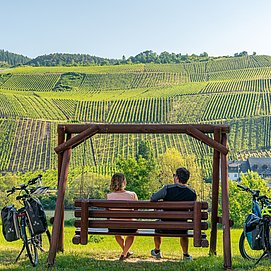 Genussradeln entlang des Mosel-Radwegs bei Erden