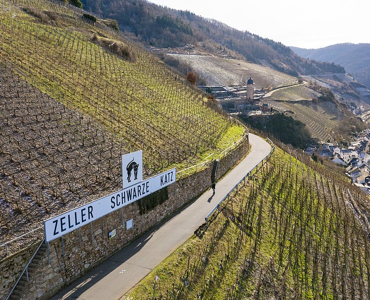 Blick auf die Weinberge bei Zell