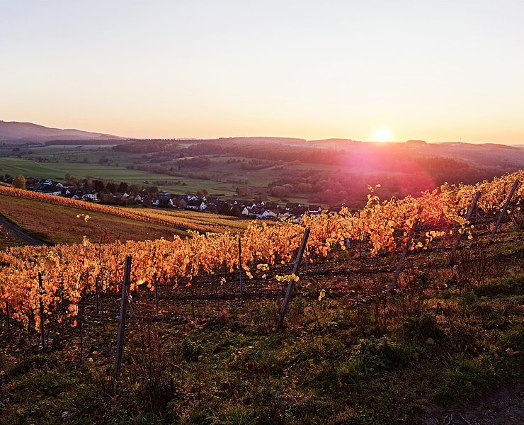 Weinberge Obermennig