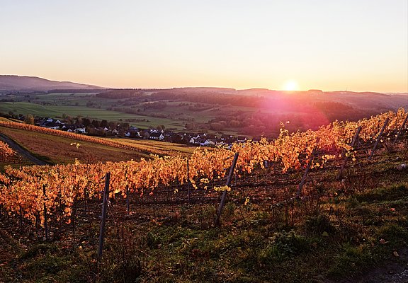 Weinberge Obermennig