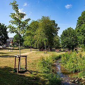 Maierspark (2)