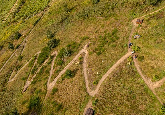 Drohnenansicht des Weges zum/vom Huxlayplateau