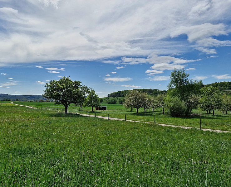 Radweg im Konzer Tälchen bei Obermennig