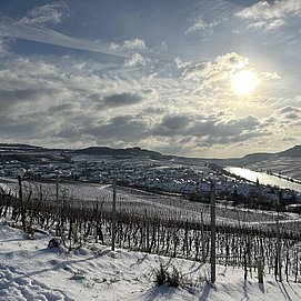 Weinberge im Schnee