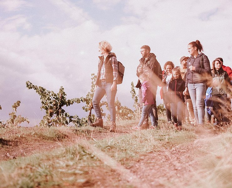 Weinwanderung Weinsein (1)
