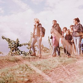 Weinwanderung Weinsein (1)
