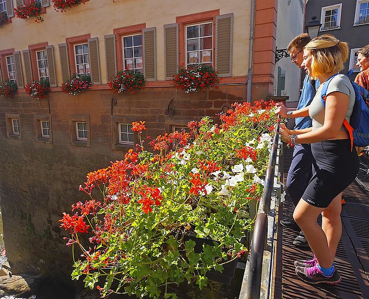 Stadtführung Saarburg (2)