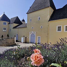 Schloss Thorn Palzem (07)