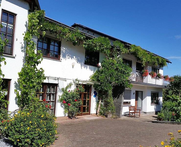 Ferienweingut Raevenhof (6)