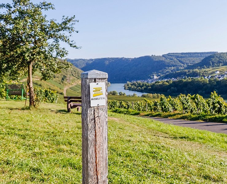 Wegemarkierung Moselsteig auf der Etappe 13 von Reil nach Zell