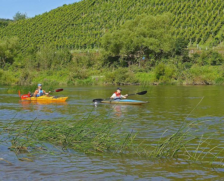 Kanufahren auf der Saar (2)