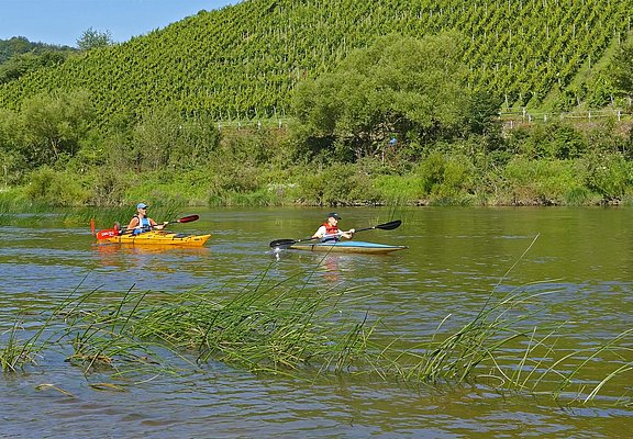Kanufahren auf der Saar (2)