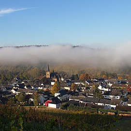 Wiltingen