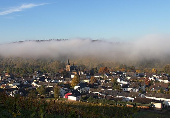 Wiltingen