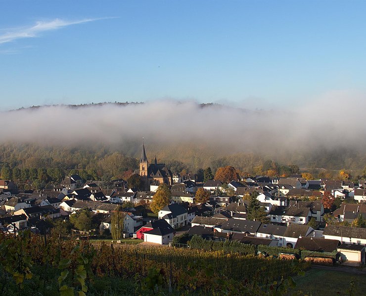 Wiltingen