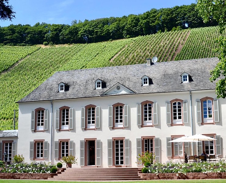 Weingut Von Othegraven Kanzem (01)