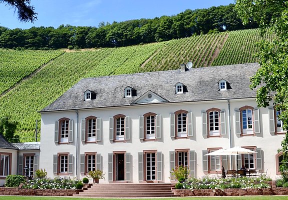 Weingut Von Othegraven Kanzem (01)