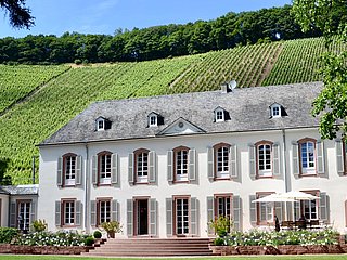 Weingut Von Othegraven Kanzem (01)