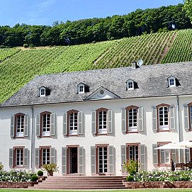 Weingut Von Othegraven Kanzem (01)