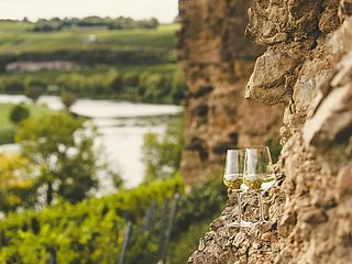 Weinwanderung (1)