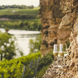 Weinwanderung (1)