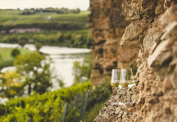 Weinwanderung (1)