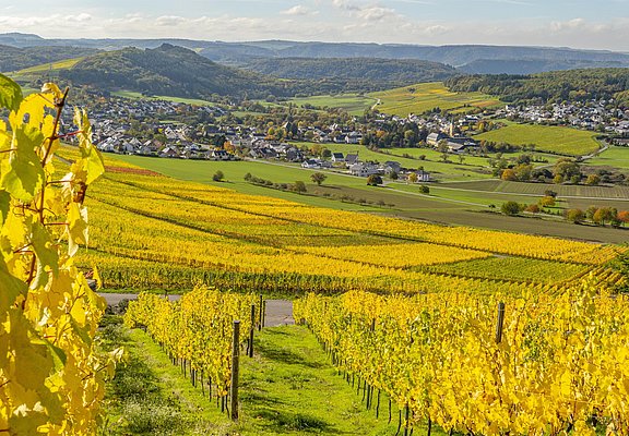Blick auf Oberemmel