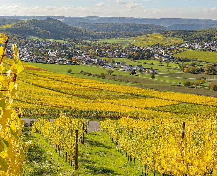 Blick auf Oberemmel