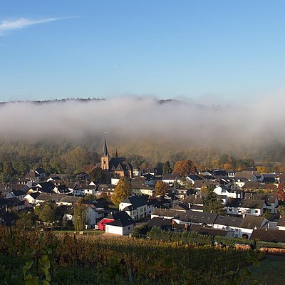 Foto: Wiltingen