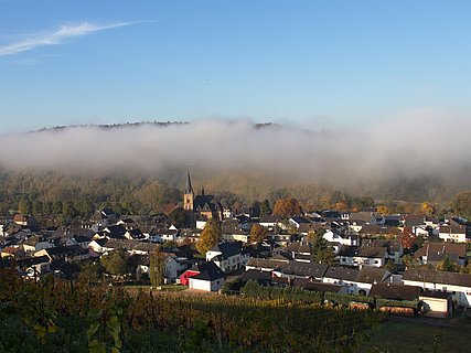 Wiltingen Wiltingen